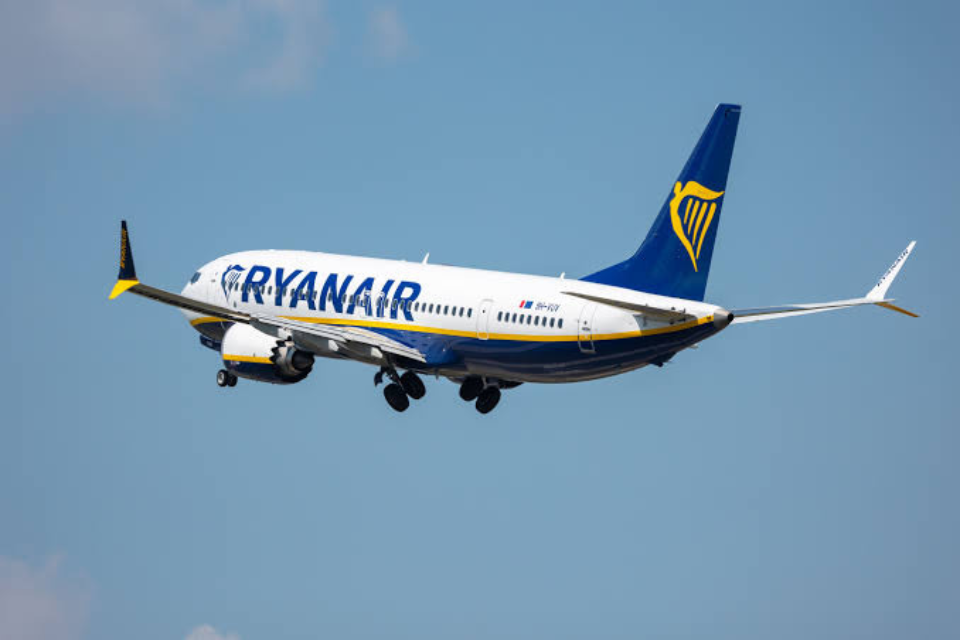 Drama na letu Ryanaira – u motoru aviona pronađeni ostaci ptice