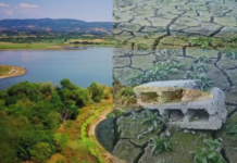 Prizori iz Srbije zabrinuli javnost: Jezero se povuklo, snimak otkriva ispucalo dno Prizori iz Srbije zabrinuli javnost – povlačenje vode na Gružanskom jezeru