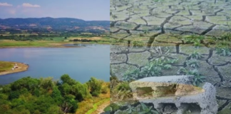 Prizori iz Srbije zabrinuli javnost – povlačenje vode na Gružanskom jezeru